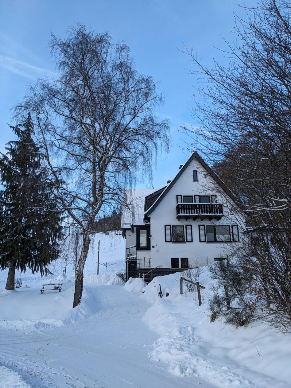 Ferienwohnung Im Hambach Bad Berleburg Exterior photo